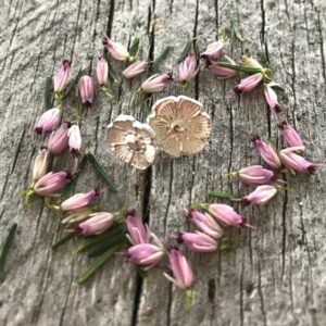 Cherry Blossom sterling Silver Stud Earrings